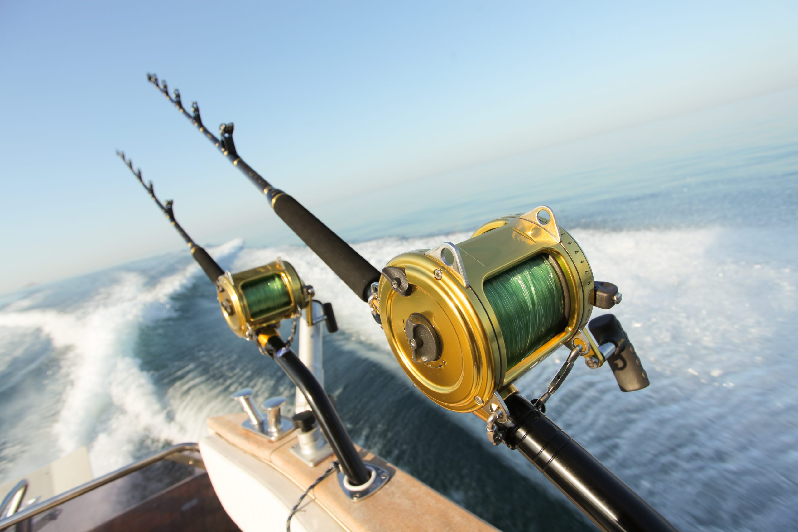 Spring Fishing Forecast - The Atlantic Current