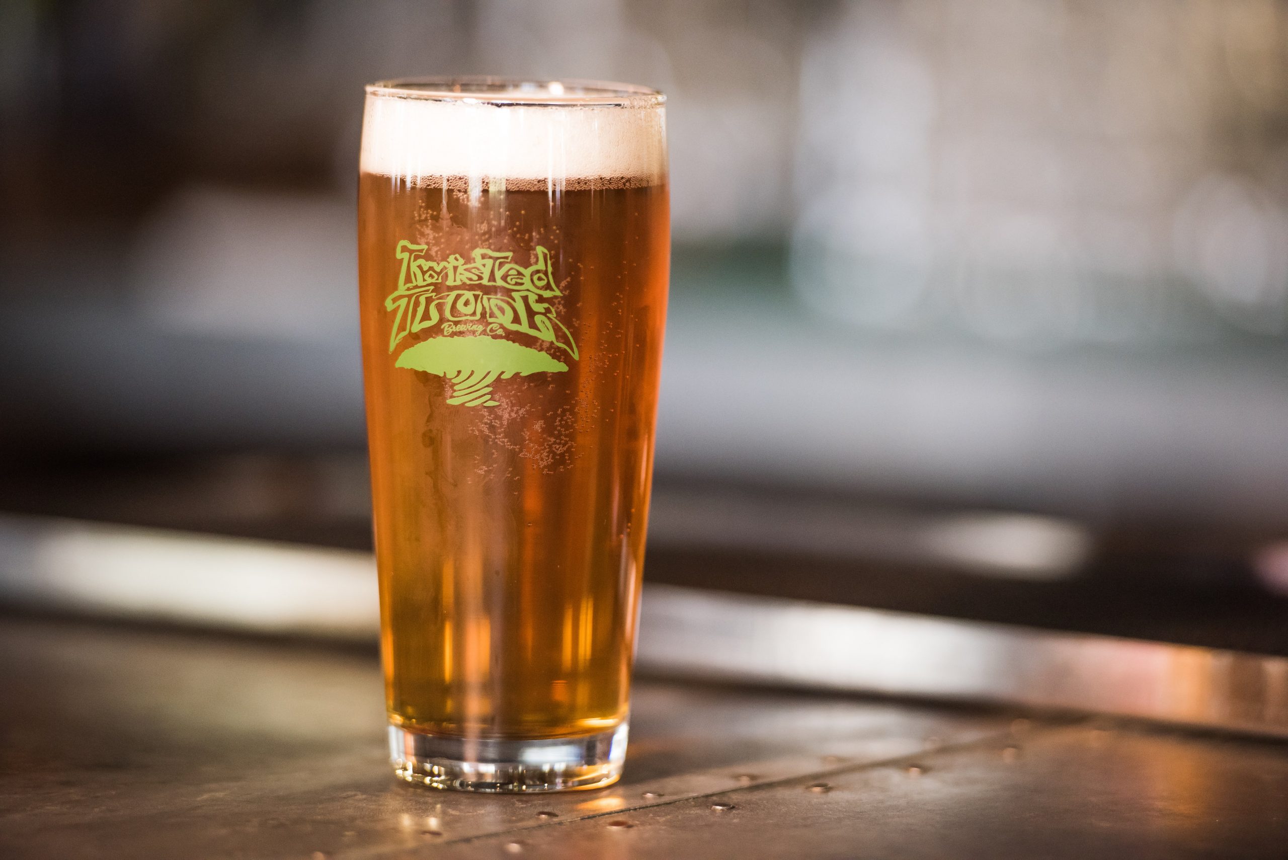 Top 10 IPAs in Palm Beach County