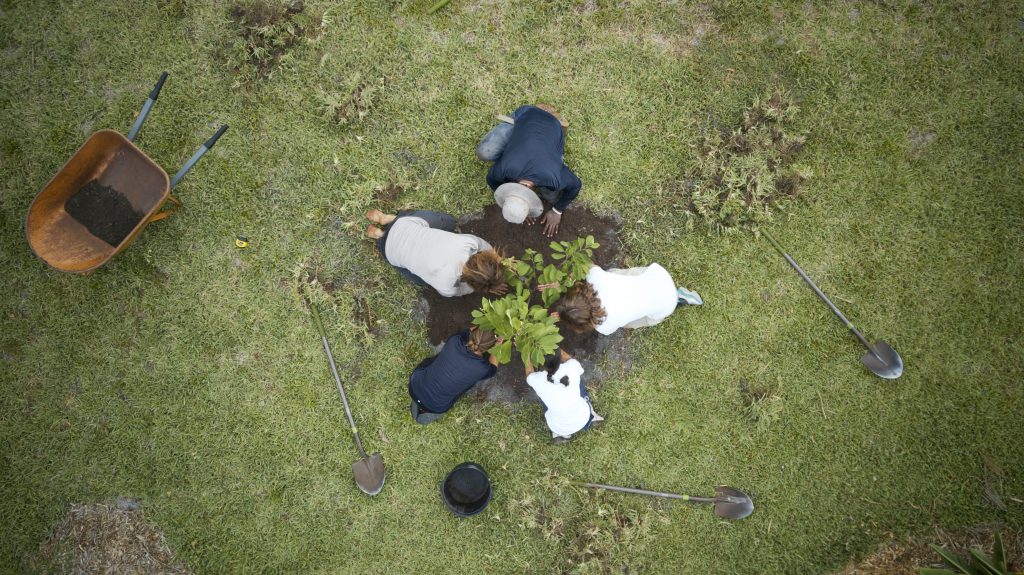Drone Shot of Guerrilla Gardening
