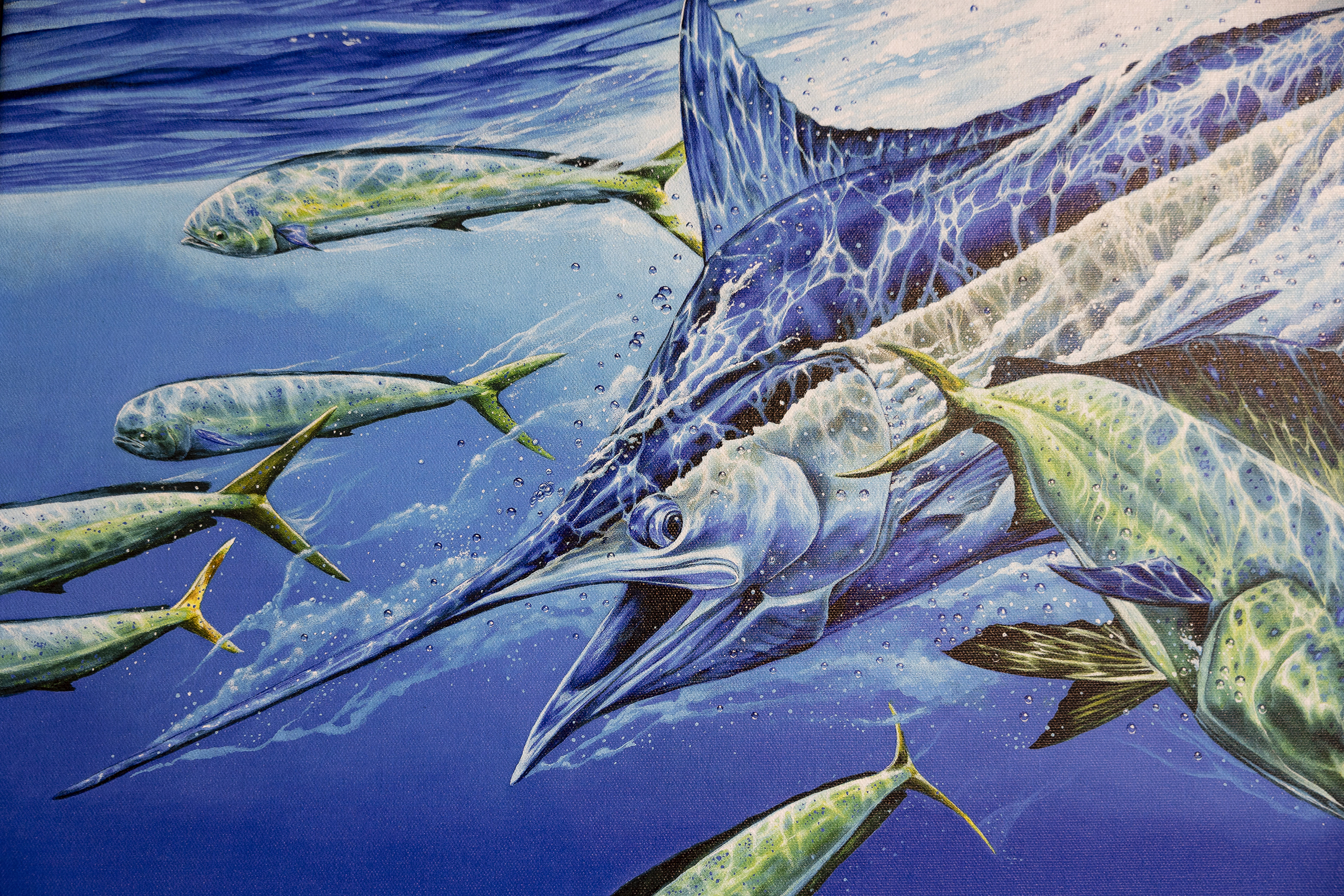 Painting of a marlin underwater, surrounded by smaller fish.