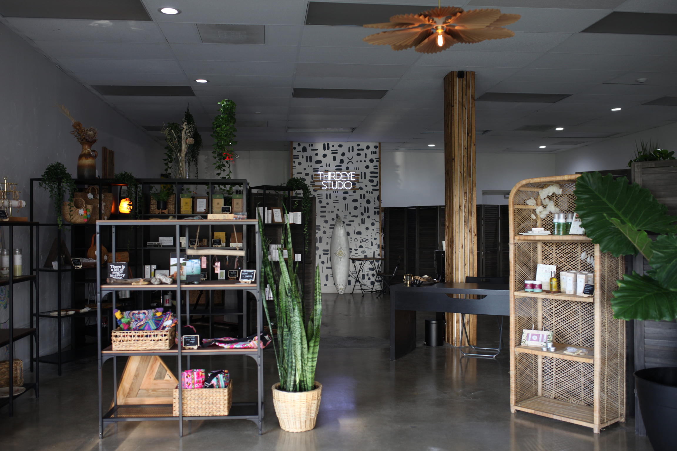Thirdeye Studio interior. Tattoo studio with plants and bamboo decor.