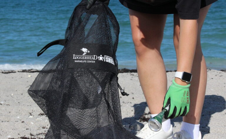 Person bent over picking up a aluminum can to put in her mesh trash bag. Part of a beach cleanup effort in Palm beach County by Loggerhead Marinelife Center.