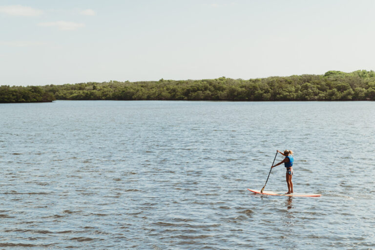 High Point Paddle tour guide in Jupiter, Florida.