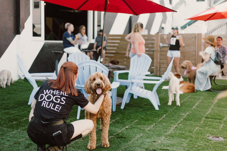 Dog bar BRK Republic in West Palm Beach, Fl.