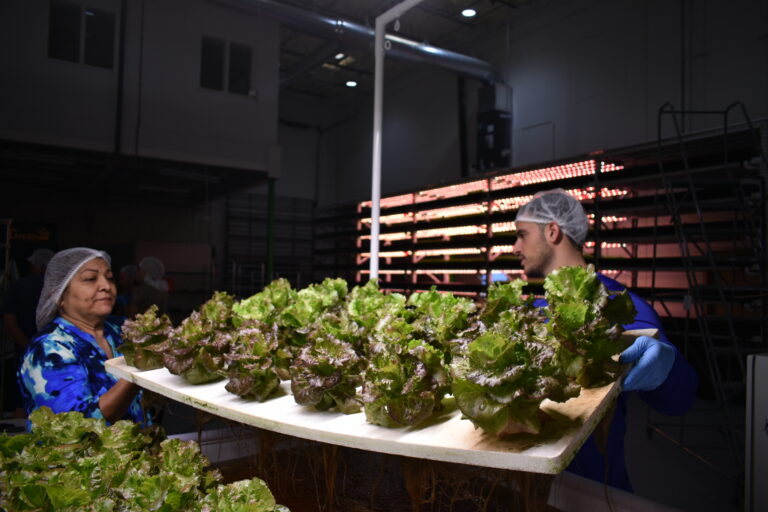 Aquaponics by Marine Education Initiative in Boca Raton Fl.